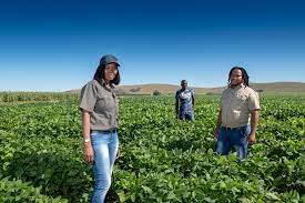 Agriculture
